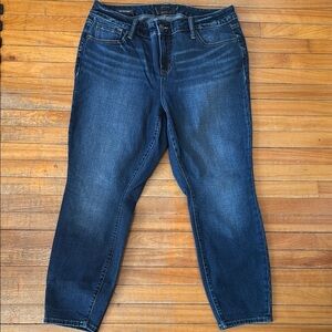 Torrid Classic Blue Women's Jeans